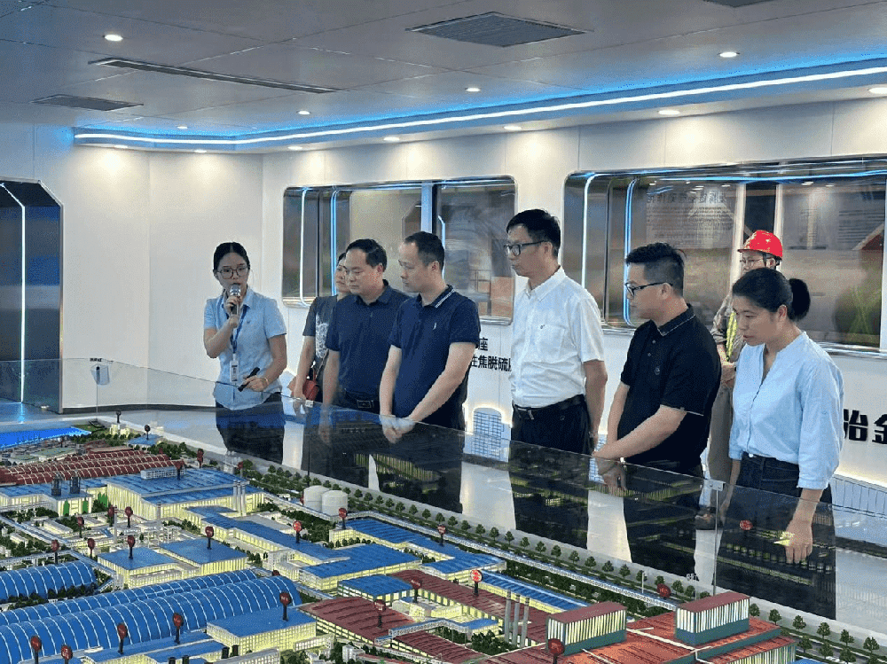 贺州与防城港两市统计局领导莅临我司调研考察 携手共促统计工作高质量发展